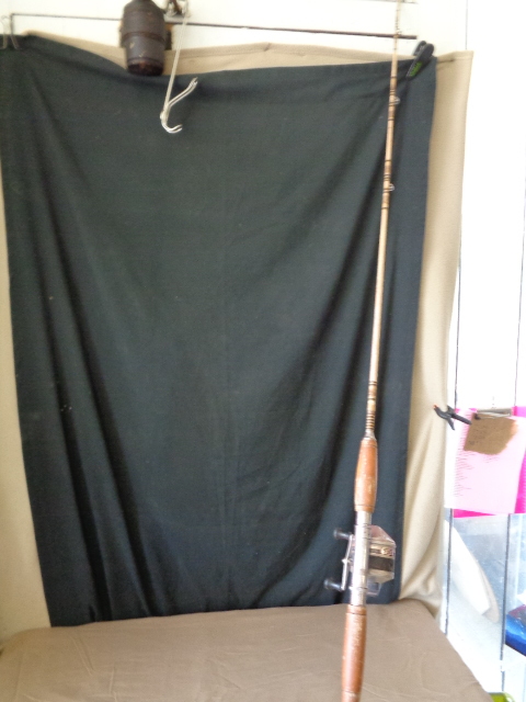 lot 7764 image: Zebco The Hawg Rod and Reel