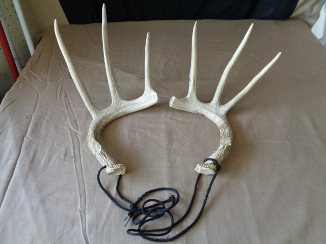 lot 7766 image: Antler Sheds