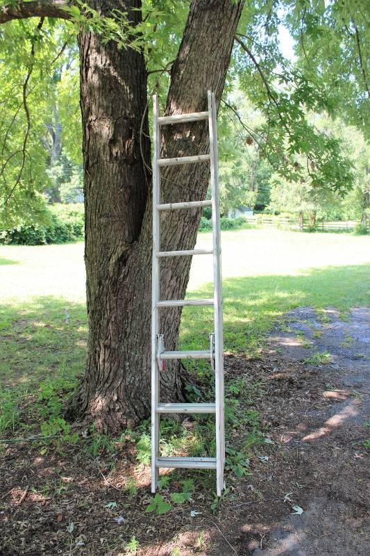 lot 1673 image: Telescoping Ladder