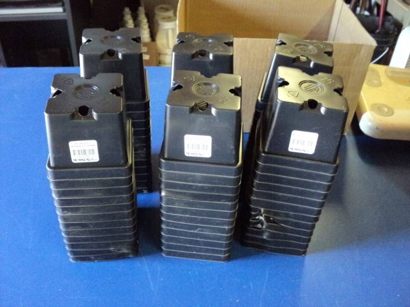 lot 9177 image: (60) ct lot disposable planting pot, The Flower Bin 6-5P, 4.5 square, some pots may have sun damage- see photo