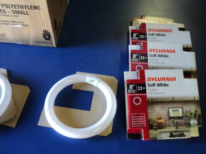 lot 9096 image: (6) ct mixed lot Circline fluorescent bulbs, 8 diameter, Sylvania, GE