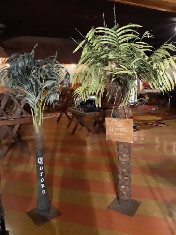 lot 6653 image: (2) Decorative Corona Extra Palm Trees