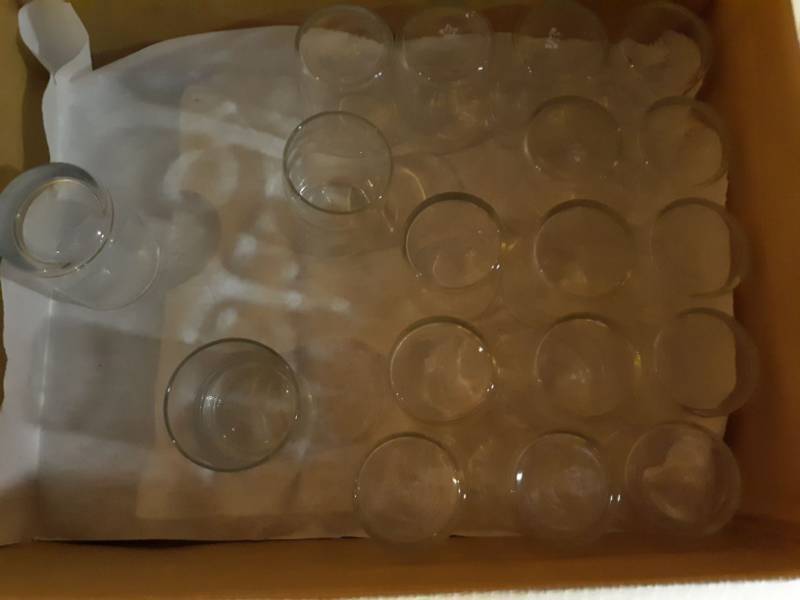 lot 8330 image: (18) 8 oz Glasses