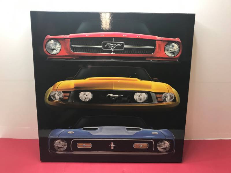 lot 3017 image: OPEN ROAD BRAND MUSTANGE PICTURE FRAME