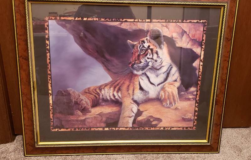 lot 1640 image: Framed Print of Tiger - 27  x 33