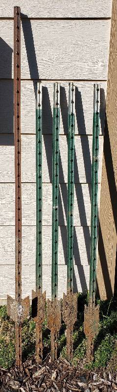 lot 3047 image: Lot of 5 T-Post - (4) 5ft. tall & (1) 6ft. tall