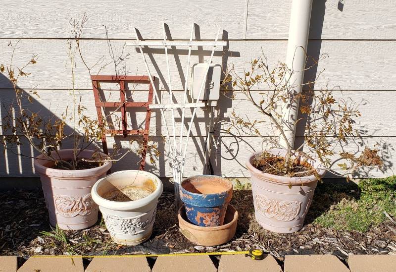 lot 3048 image: Lot of Outside Pots and Trellis - mostly lightweight pots (2 are terra cotta)
