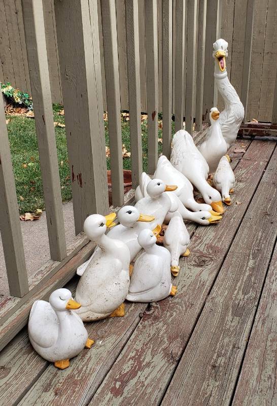 lot 2249 image: Lot of Outdoor White DucksGeese (12) - some may have some damage