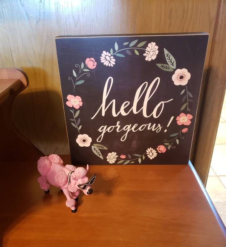 lot 2550 image: Cow Parade French Moodle and Hello Gorgeous Wood Wall Decor