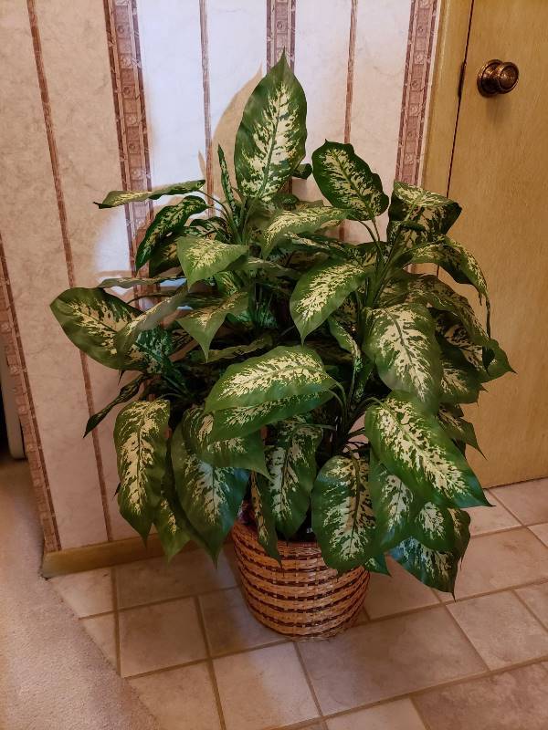 lot 2654 image: 36 in. Faux Plant