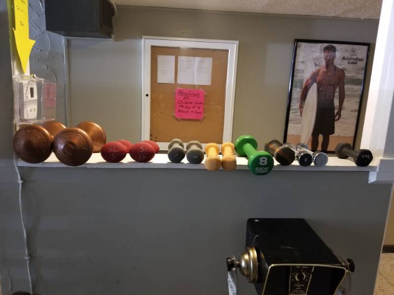 lot 6861 image: 8lbs, 5lbs, 3lbs Dumbbells