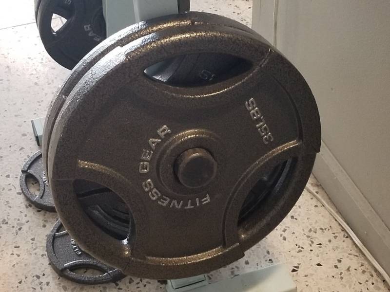 lot 6864 image: Set Of 35lbs Fitness Gear Plate Weights