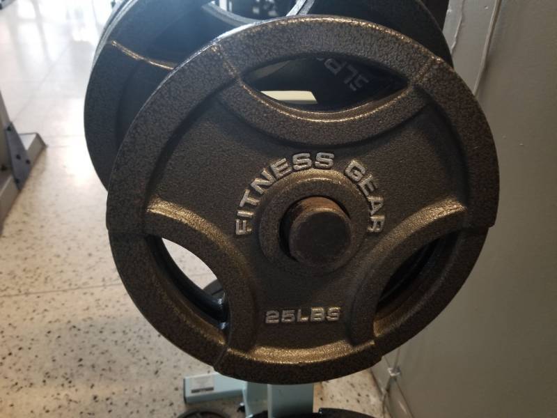 lot 6865 image: Set Of 25lbs Fitness Gear Plate Weights