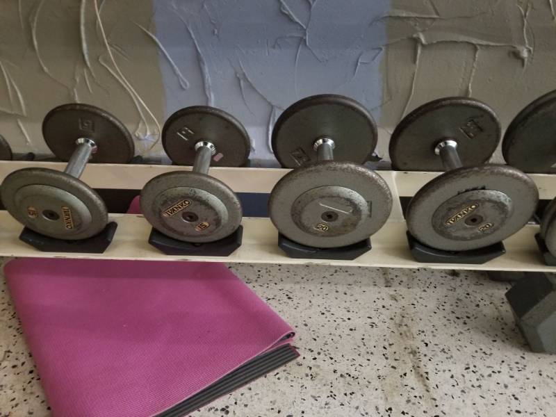 lot 6887 image: Ivanko 15lbs, 20lbs Dumbbells