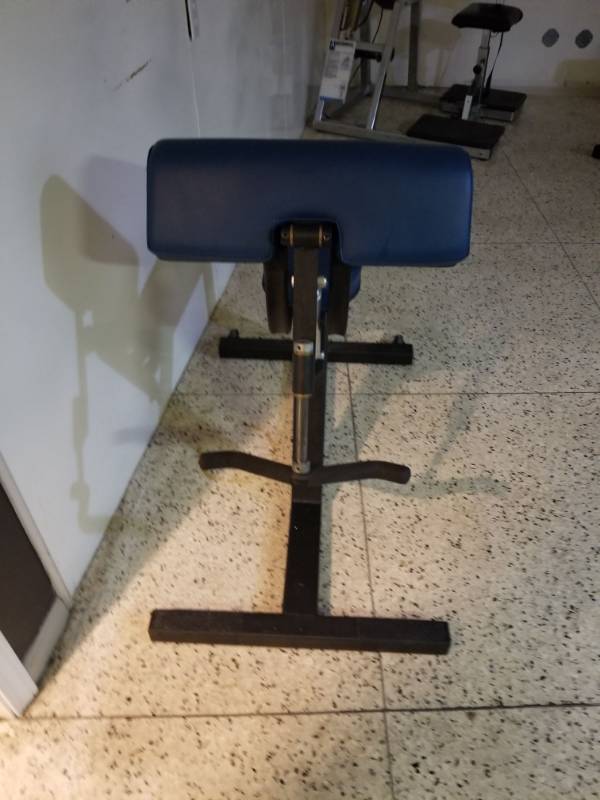 lot 6897 image: Bicep Curl Workout Machine