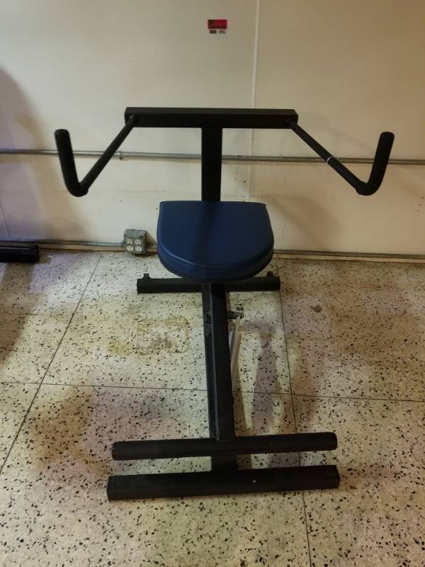 lot 6903 image: Torso Twist Weight Machine