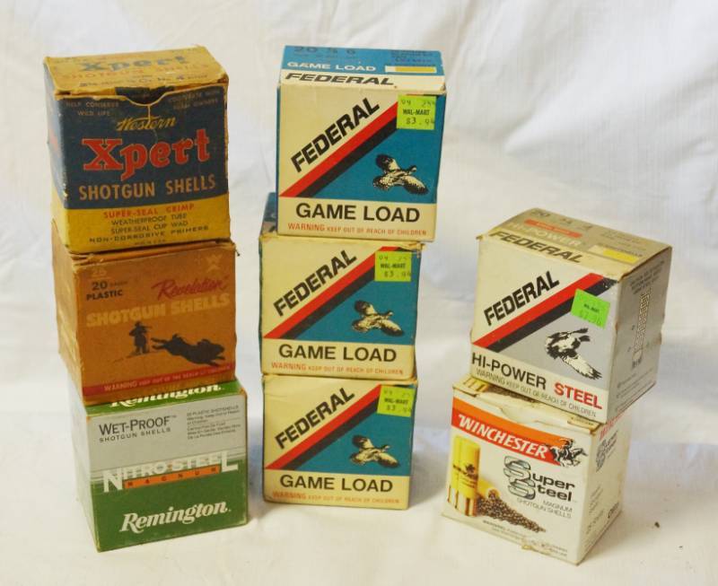 lot 7162 image: Misc Shotgun Shells - 20 Gauge