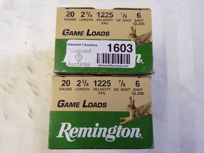 lot 1603 image: Remington 20 Ga. #6 Shot Ammo
