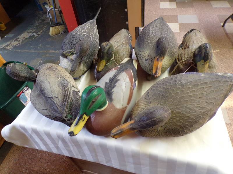 lot 1615 image: Mallard Decoys  1 Pintail