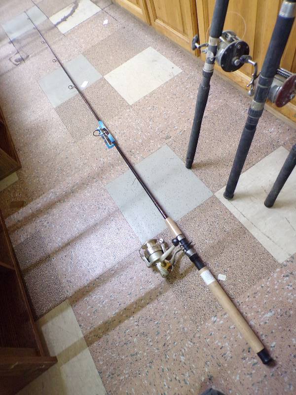 lot 1638 image: Pinnacle Spinning Combo