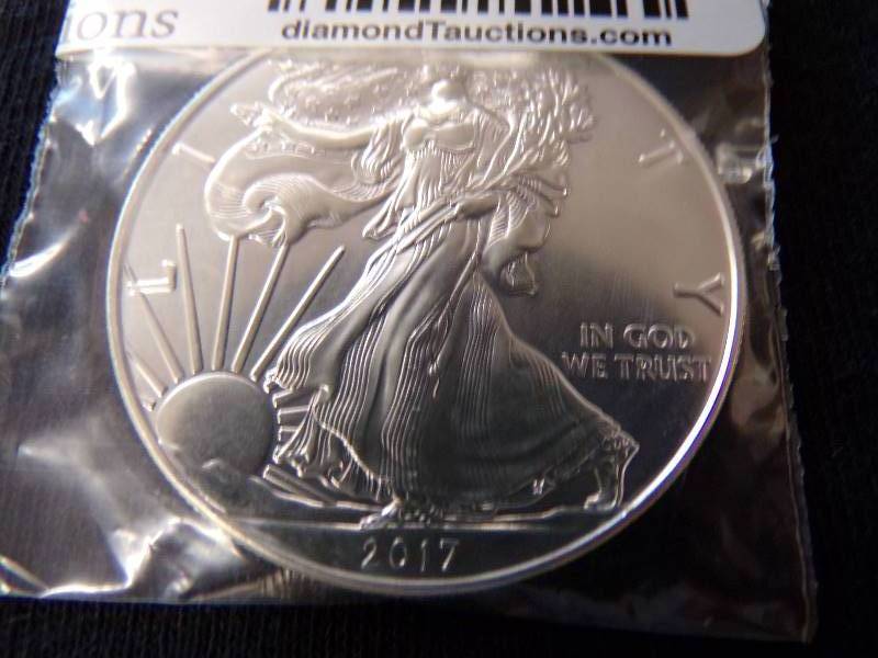 lot 3081 image: 2017 Silver Eagle