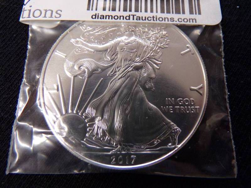 lot 3084 image: 2017 Silver Eagle