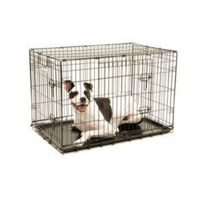 lot 46 image: Precision Provalue 2 Door Pet Crate