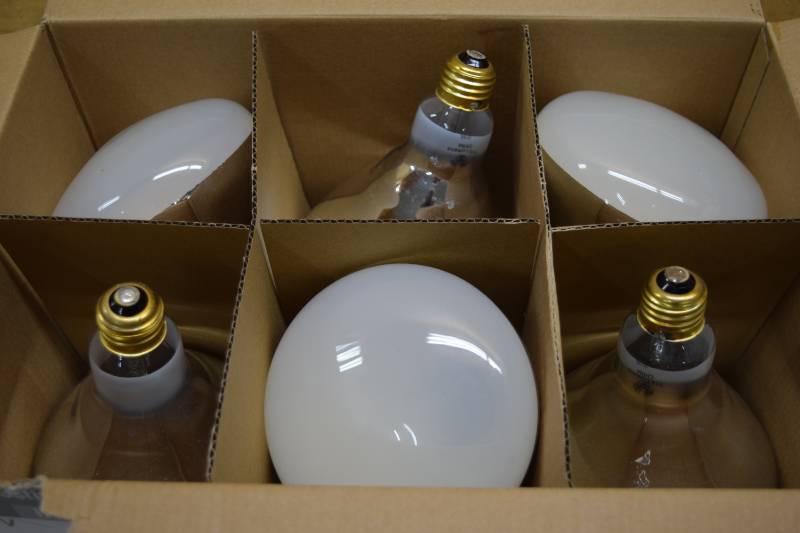 lot 226 image: 6 Pack Westinghouse Indoor Floodlights