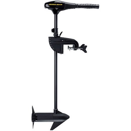 lot 8307 image: Minn Kota Endura C2 55-lb. Thrust Trolling Motor with 42  Shaft