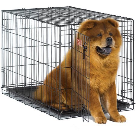 lot 8414 image: iCrate Single Door Folding Metal Dog Crate