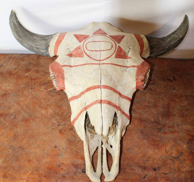 Miniature Dudley Native American Indian Buffalo Skull Blue Spotted Horn 