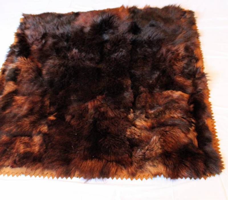 Real bear blanket new arrivals