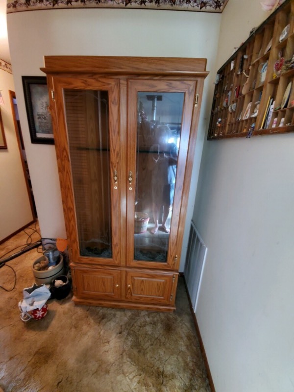 Lighted Gun Cabinet With Glass Front Quenemo Estate Auction