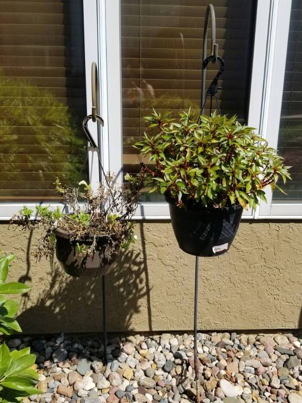 lot 69 image: Two Shepherds Hooks Plants Hangers