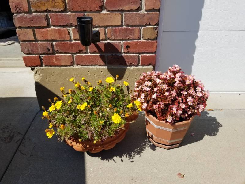 lot 71 image: Outdoor Planters with Plants