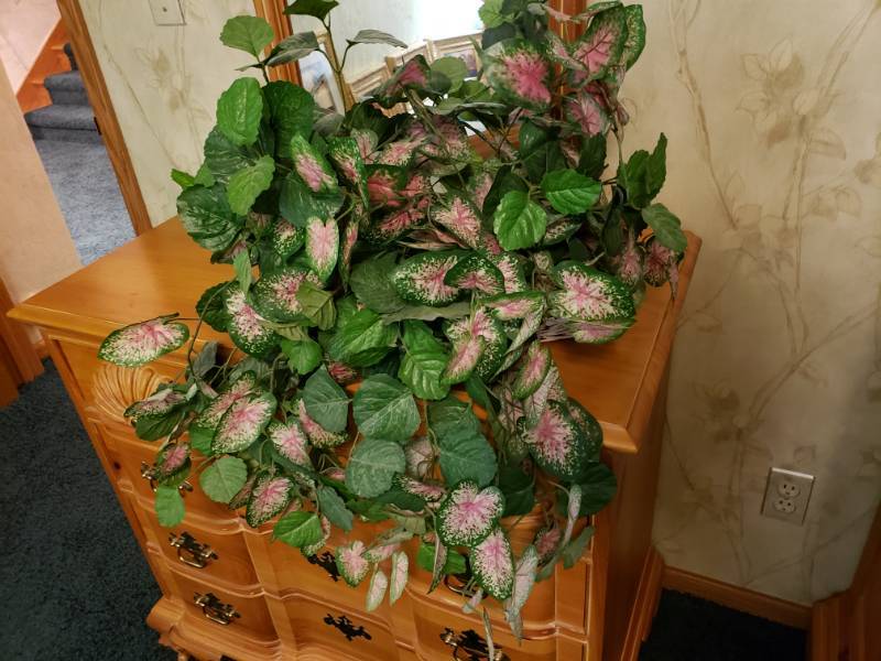 lot 7434 image: Fake plant decor.