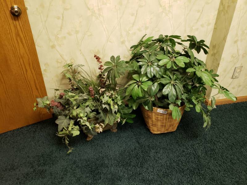 lot 7442 image: 2 Fake plants.