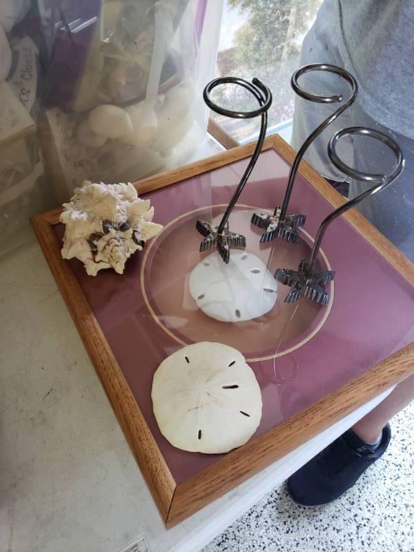 lot 7571 image: Lot of beach themed decor