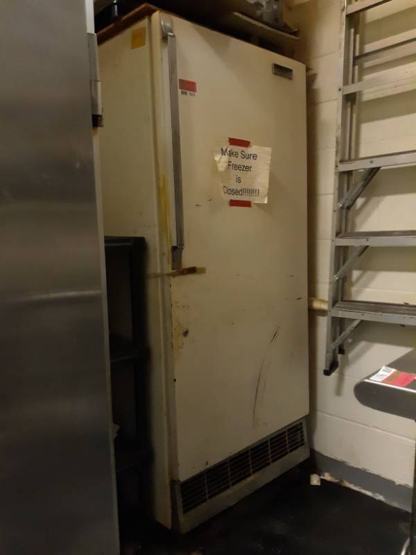 lot 9670 image: Sears Coldspot Freezer