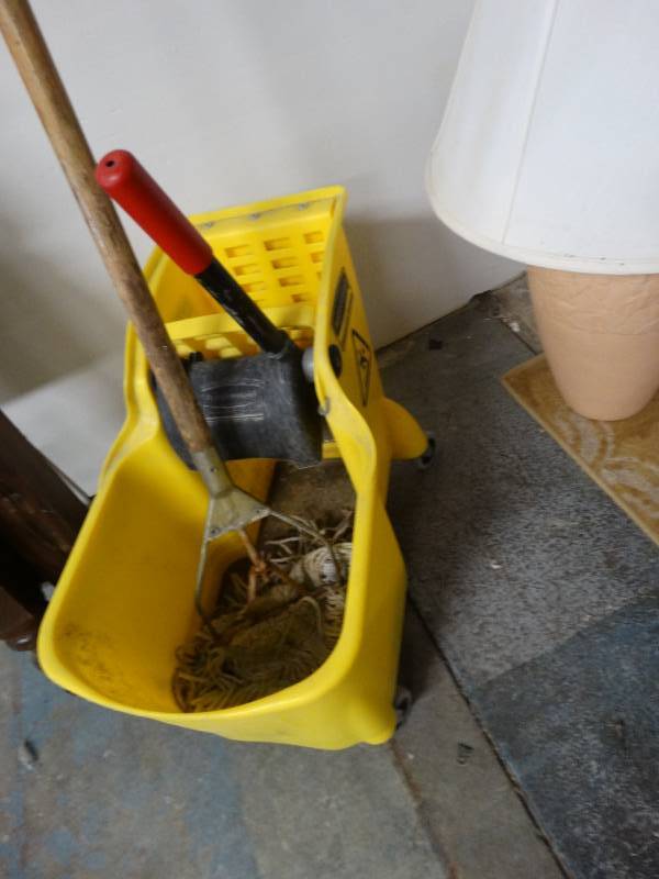 lot 7737 image: Mop bucket w mop