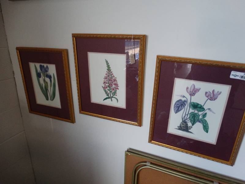 lot 7815 image: lot of 3 Framed Prints