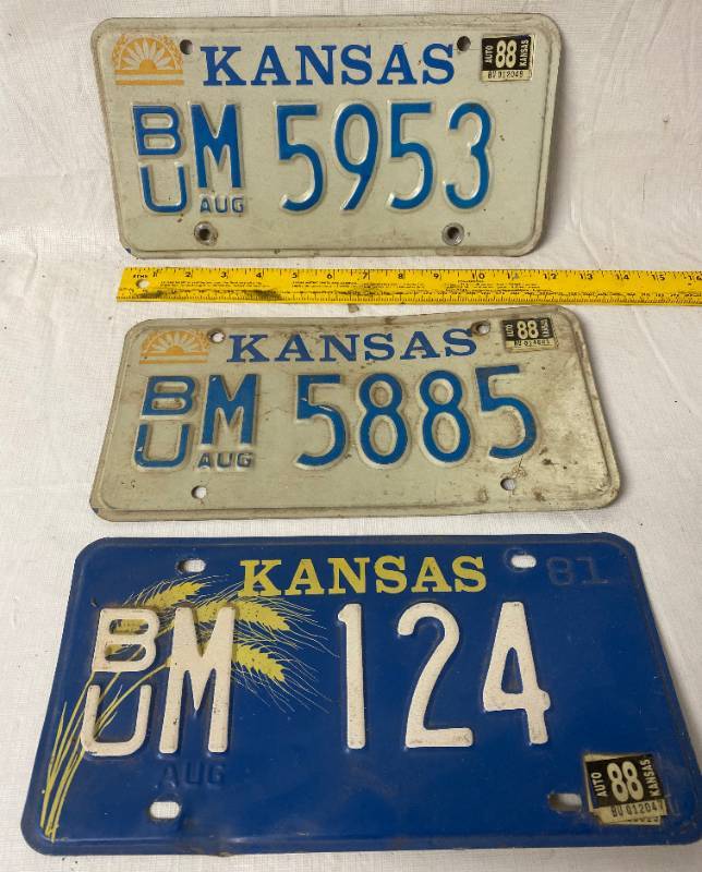 lot 4159 image: 3 Vintage - 1981 - 1988 - Kansas - Butler County - Metal License Plates