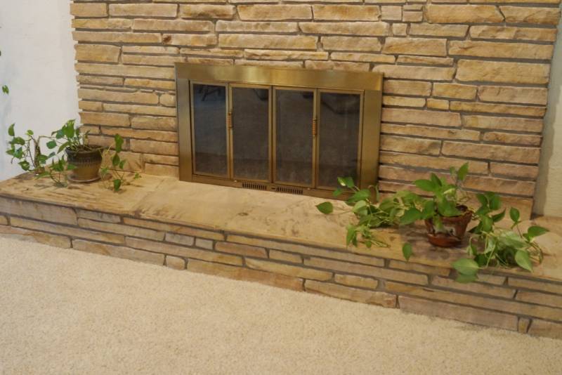 lot 1461 image: House Plants shown by fireplace - Pretty and healthy