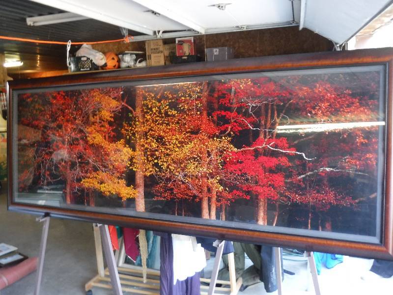 lot 7219 image: 8 foot by 3 foot Images of Nature fall foliage framed art