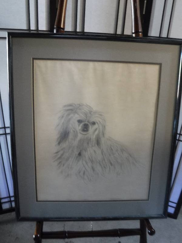 lot 7249 image: Framed sketch of a dog