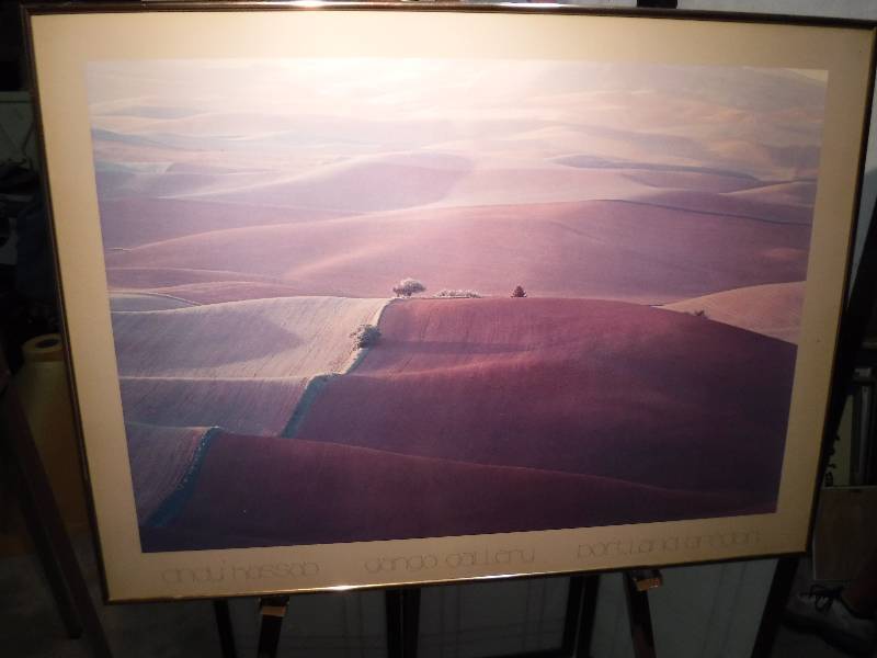 lot 7302 image: Cindy Kassab rolling hills framed print- Gango Gallery Portland