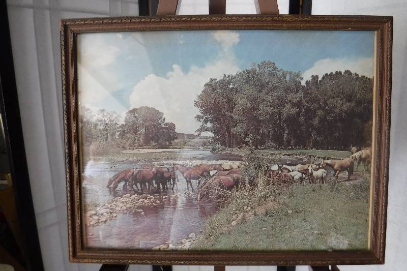 lot 7345 image: Framed horses photo- needs work