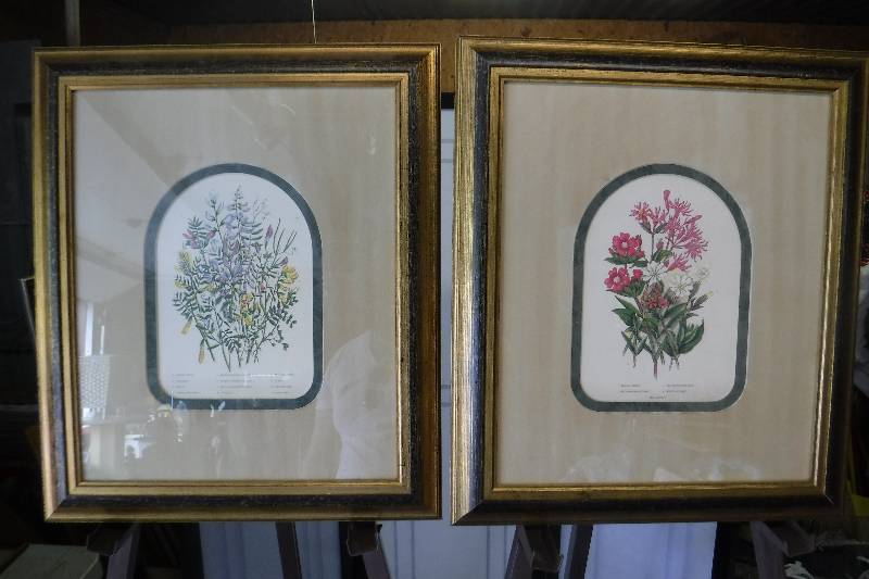 lot 7356 image: Pair of Loudons Flowers reproductions