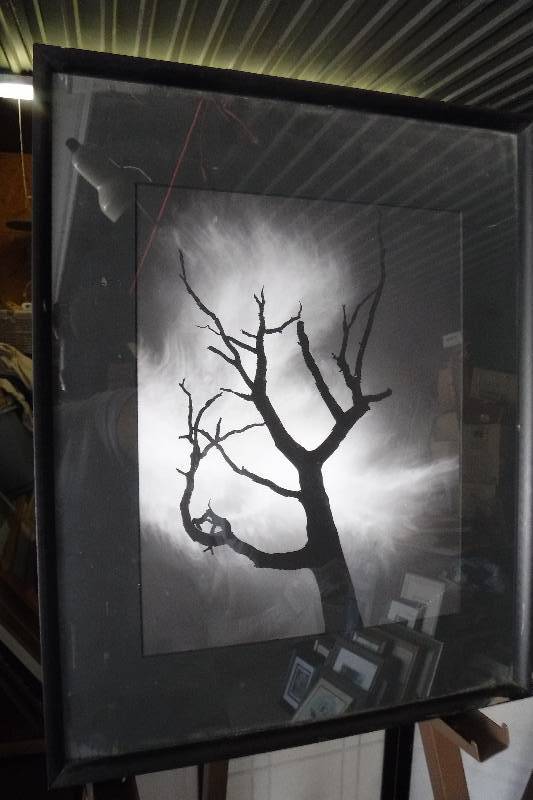lot 7363 image: Black and white framed winter tree photo