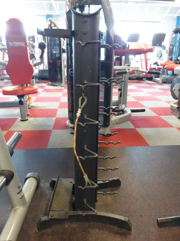 lot 1549 image: Body Solid Weight Tree
